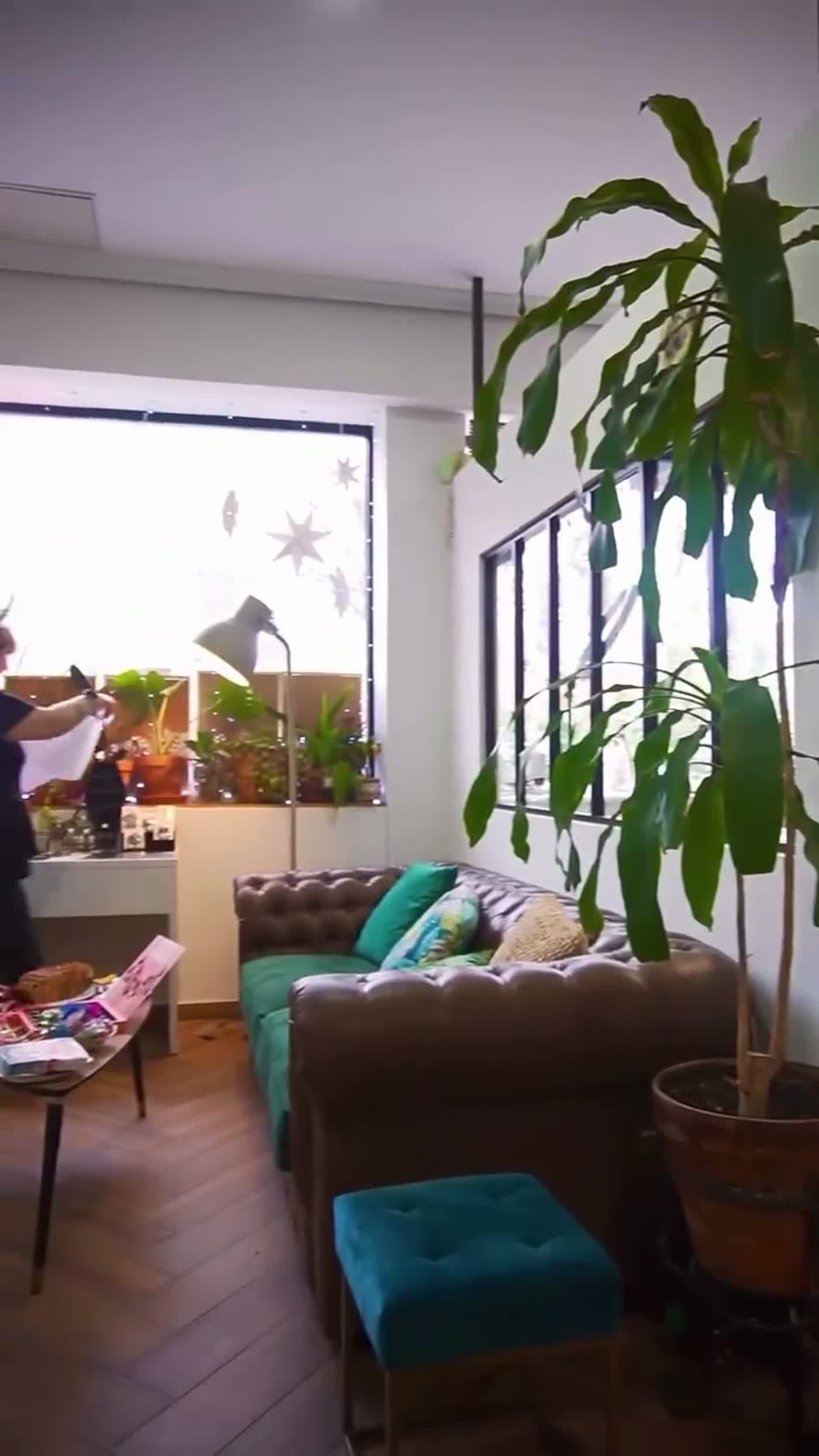 Interior del estudio Fresh Tattoo en Fuenlabrada, con plantas y sofá